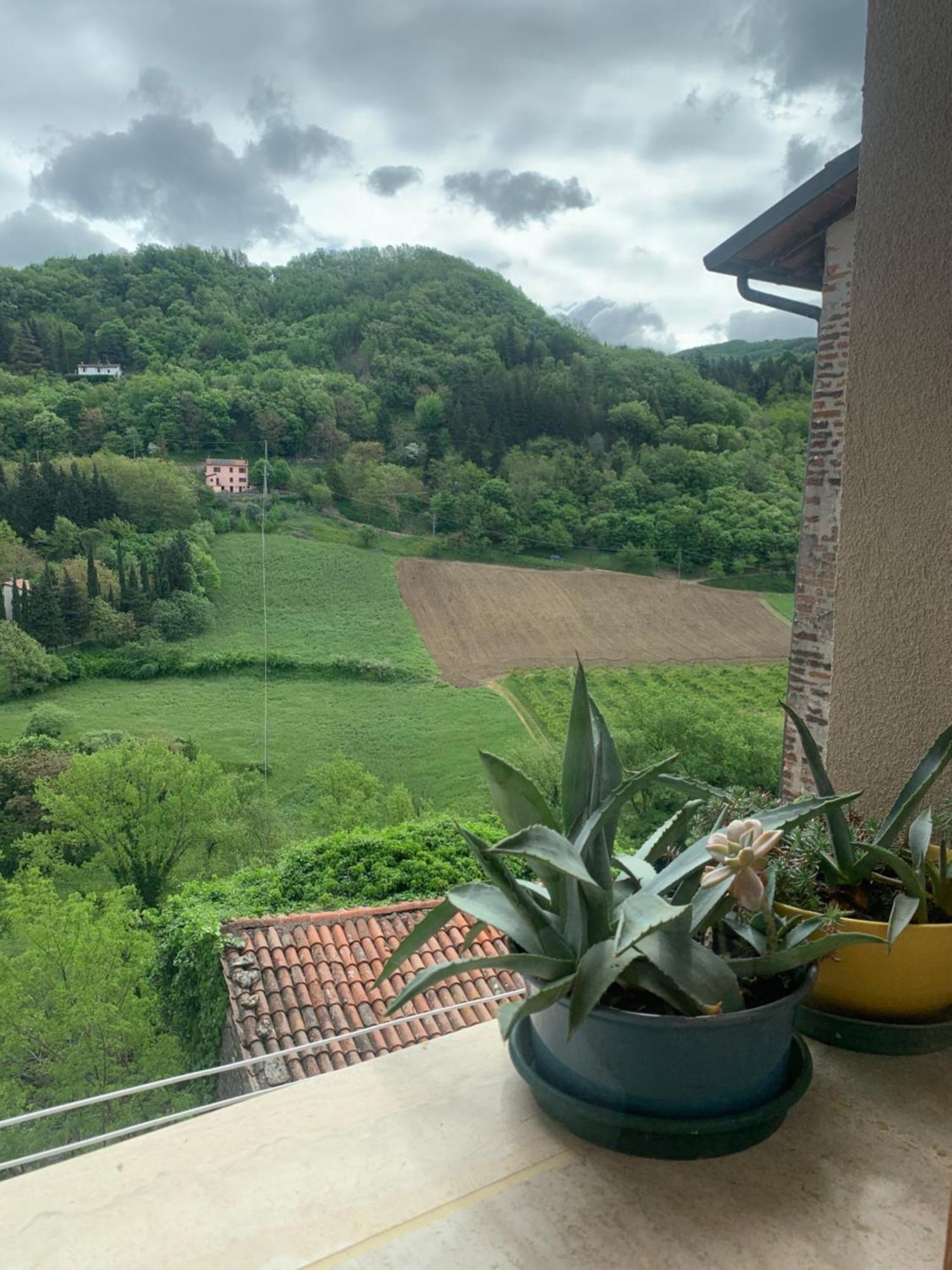 Camibb Hotell Castel del Rio Exteriör bild